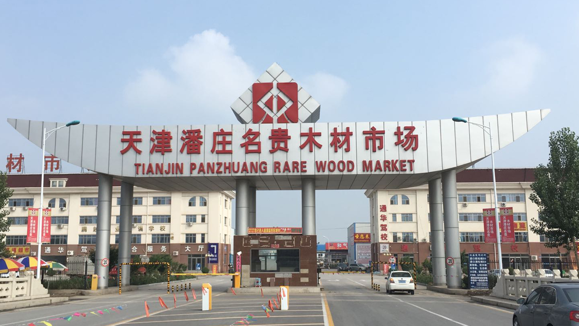 潘庄名贵木材市场